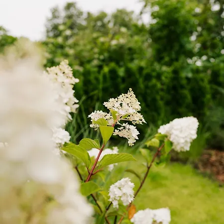 Kuesten De - 1 Direkte Deichlage, Terrasse, 53qm Greetsiel