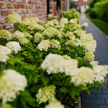 Apartmán Kuesten De - 1 Direkte Deichlage, Terrasse, 53qm Greetsiel